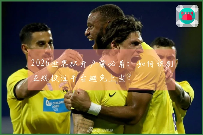 2026世界杯开户前必看：如何识别正规投注平台避免上当？
