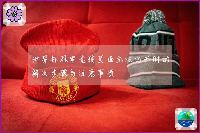 世界杯冠军竞猜页面无法打开时的解决步骤与注意事项