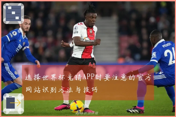 选择世界杯竞猜APP时要注意的官方网站识别方法与技巧