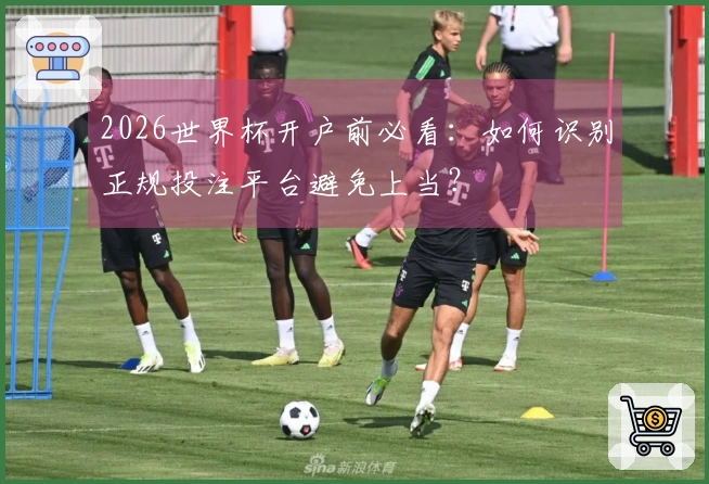 2026世界杯开户前必看：如何识别正规投注平台避免上当？