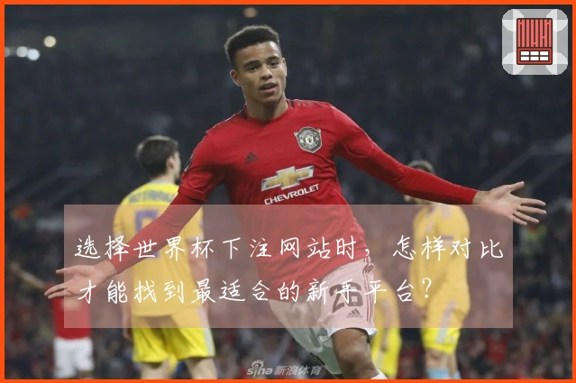 选择世界杯下注网站时，怎样对比才能找到最适合的新手平台？